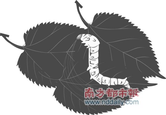 也是农民增收的重要支撑