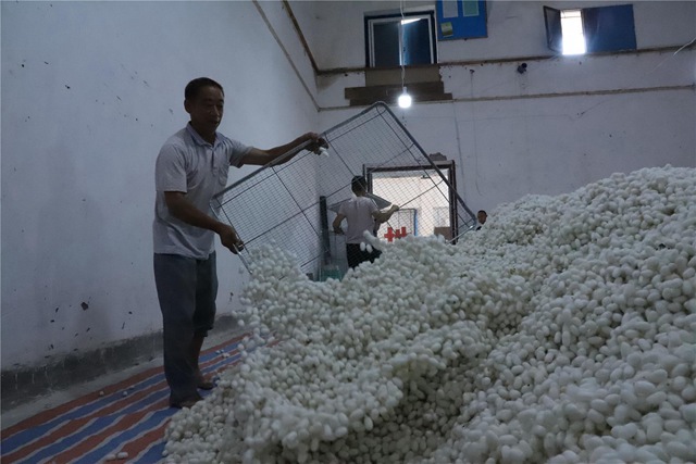 由于这种柔美礼服的丝织和缝制技术出自中国人之手