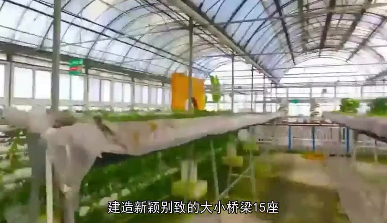 蚕宝宝要完成它的“毕业典礼”