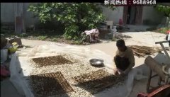 <b>经济收入在2万多块钱</b>