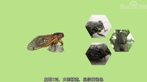 2. 中西医结合：在方法上