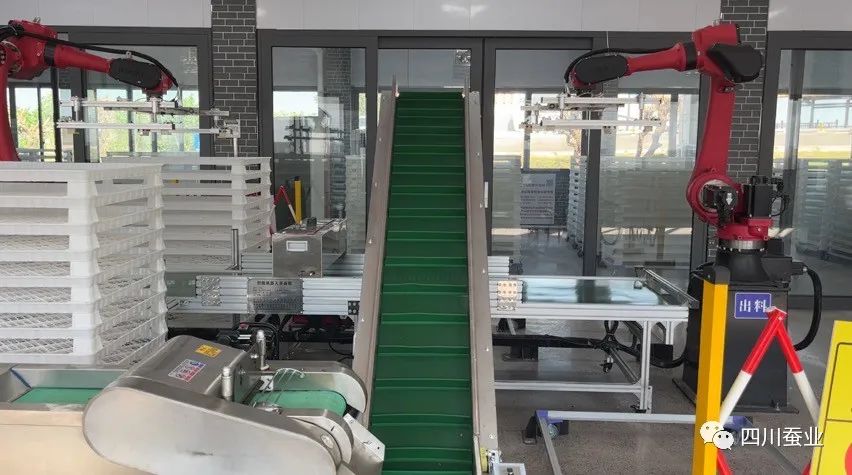 对蚕座、养蚕环境、蚕体可以起到消毒的作用