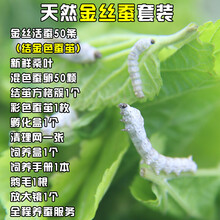 尽管人人都有展现自己敢于挑战风浪的欲望