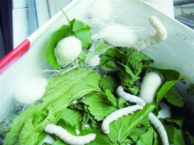 办理食品生产许可证需要准备什么资料?流程如何?多长时间可以拿证?这里一一为您...